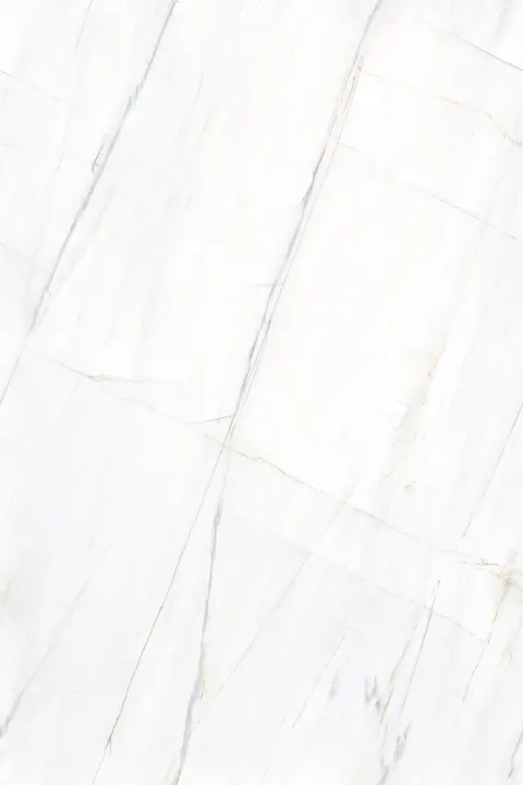 SLAVI WHITE view 3